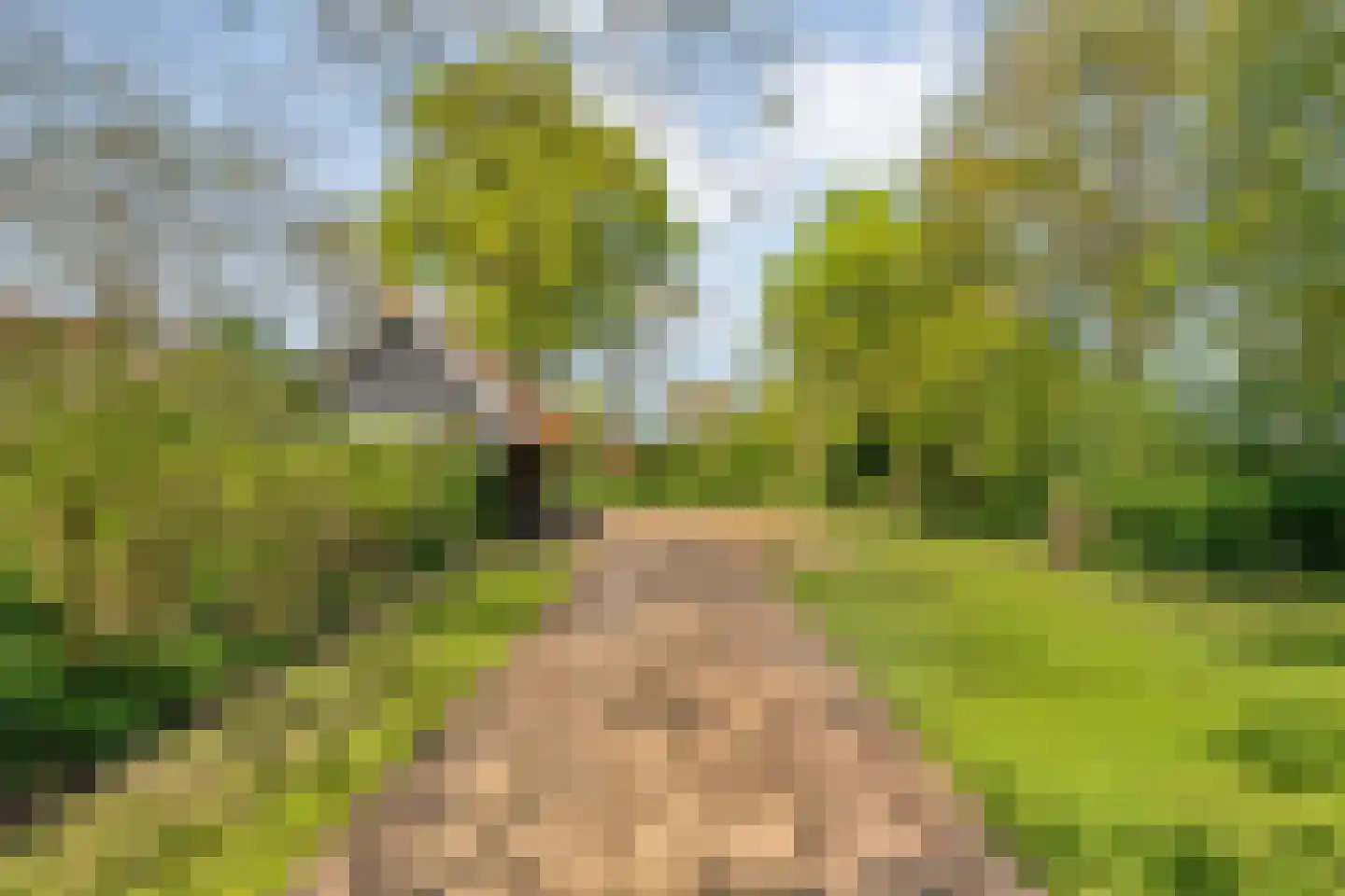 Lindeldijk 6 Radewijk thumbnail 70