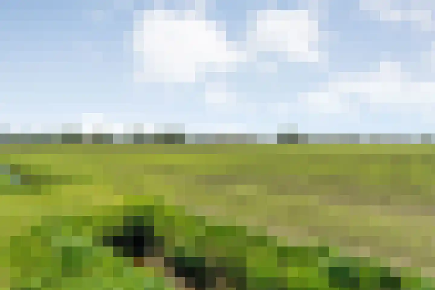 Lindeldijk 6 Radewijk thumbnail 74