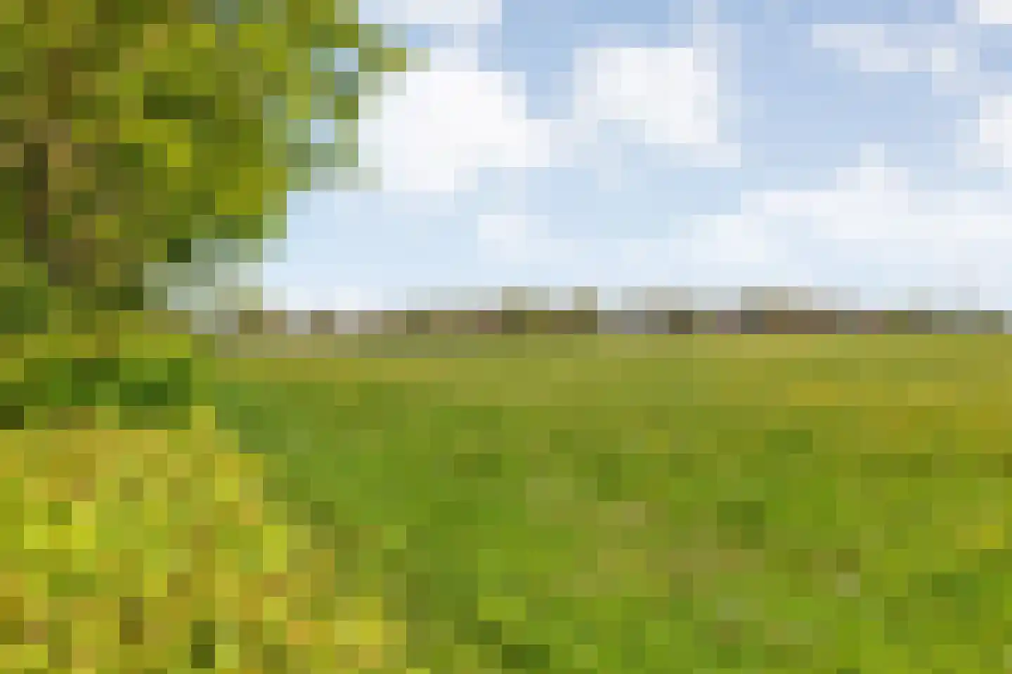 Lindeldijk 6 Radewijk thumbnail 75
