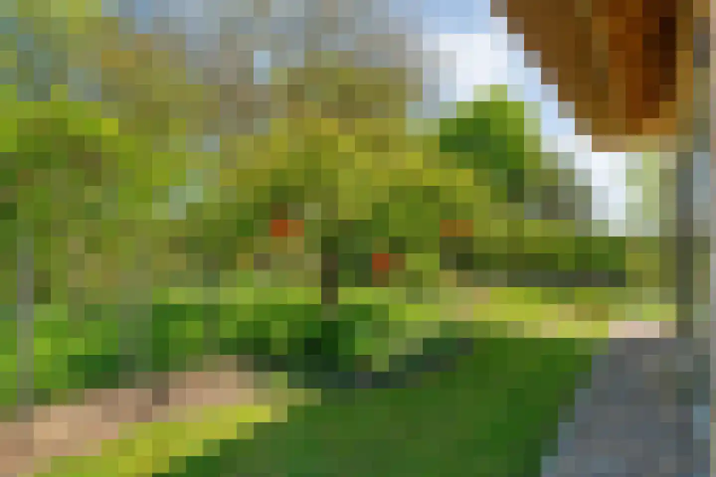 Lindeldijk 6 Radewijk thumbnail 76