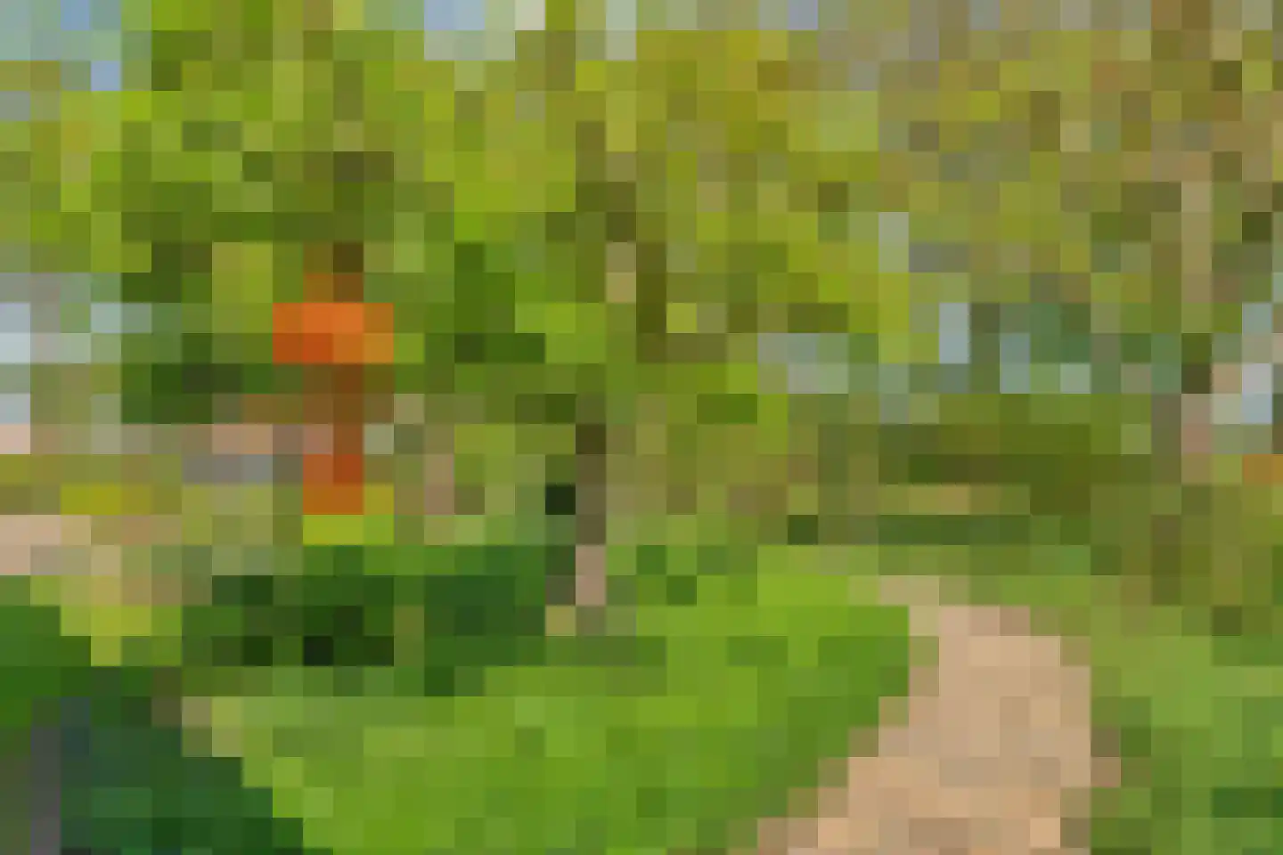 Lindeldijk 6 Radewijk thumbnail 77