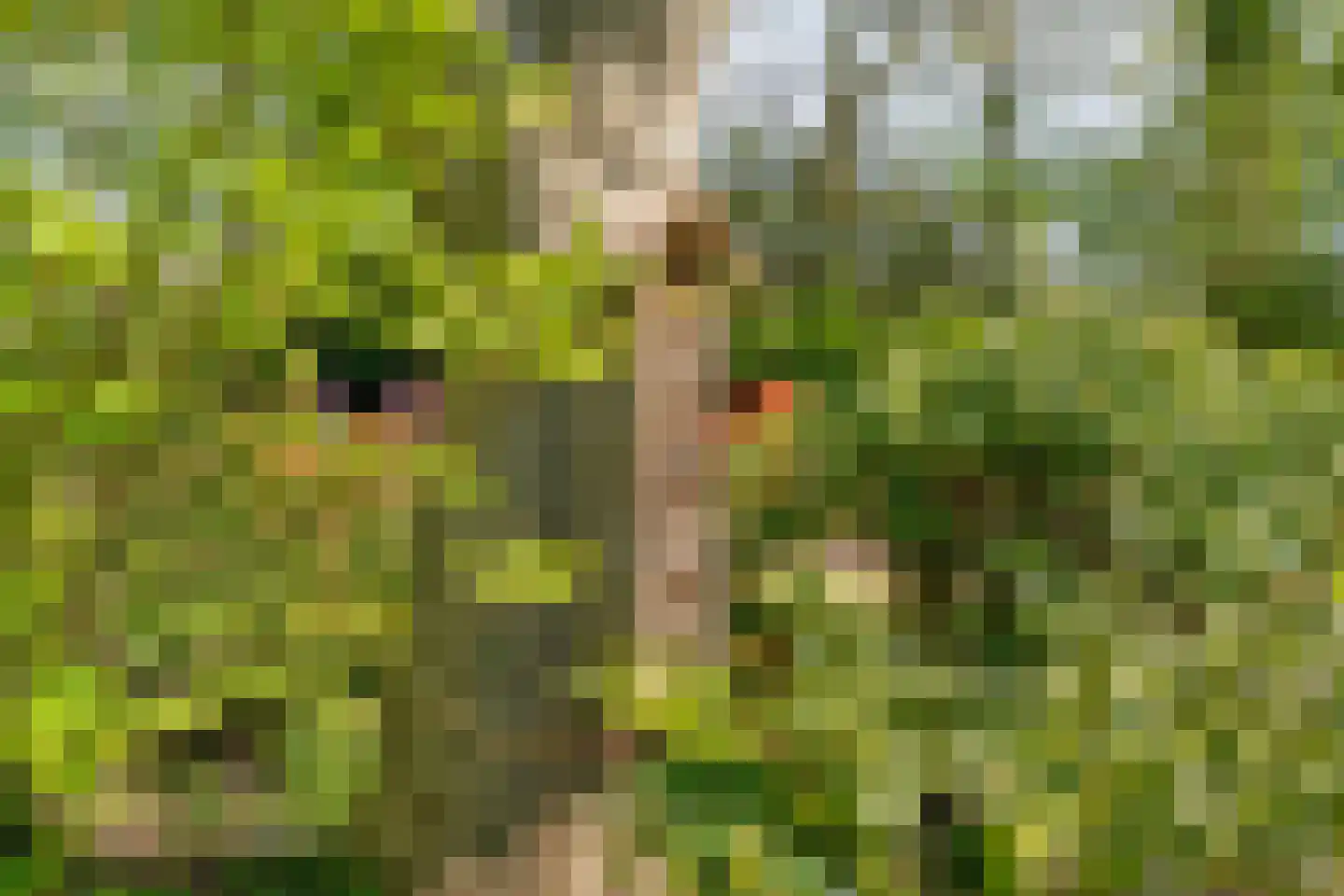 Lindeldijk 6 Radewijk thumbnail 78