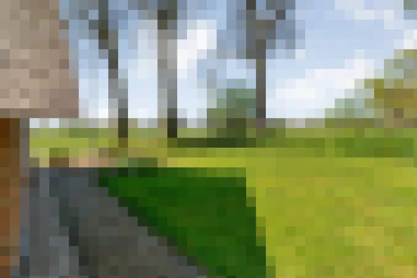 Lindeldijk 6 Radewijk thumbnail 80
