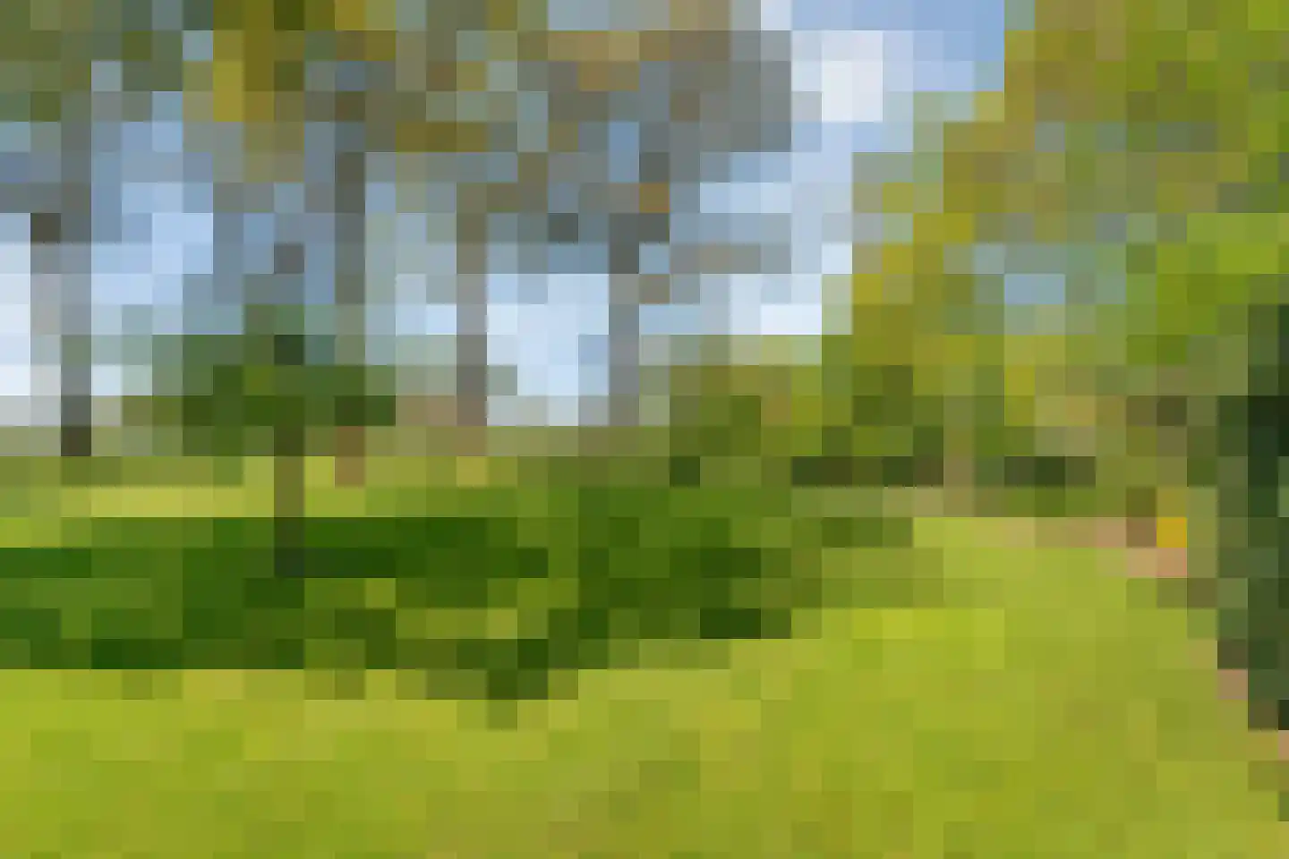 Lindeldijk 6 Radewijk thumbnail 84