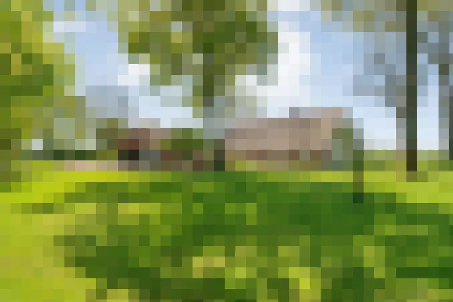 Lindeldijk 6 Radewijk thumbnail 85