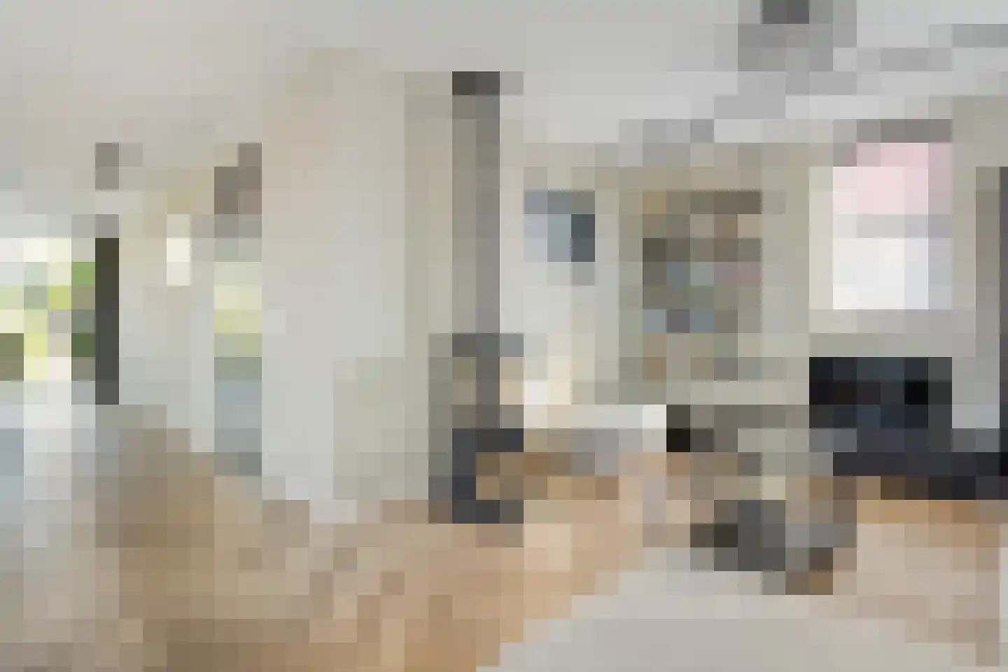 Linden Erven 1 Uffelte thumbnail 19