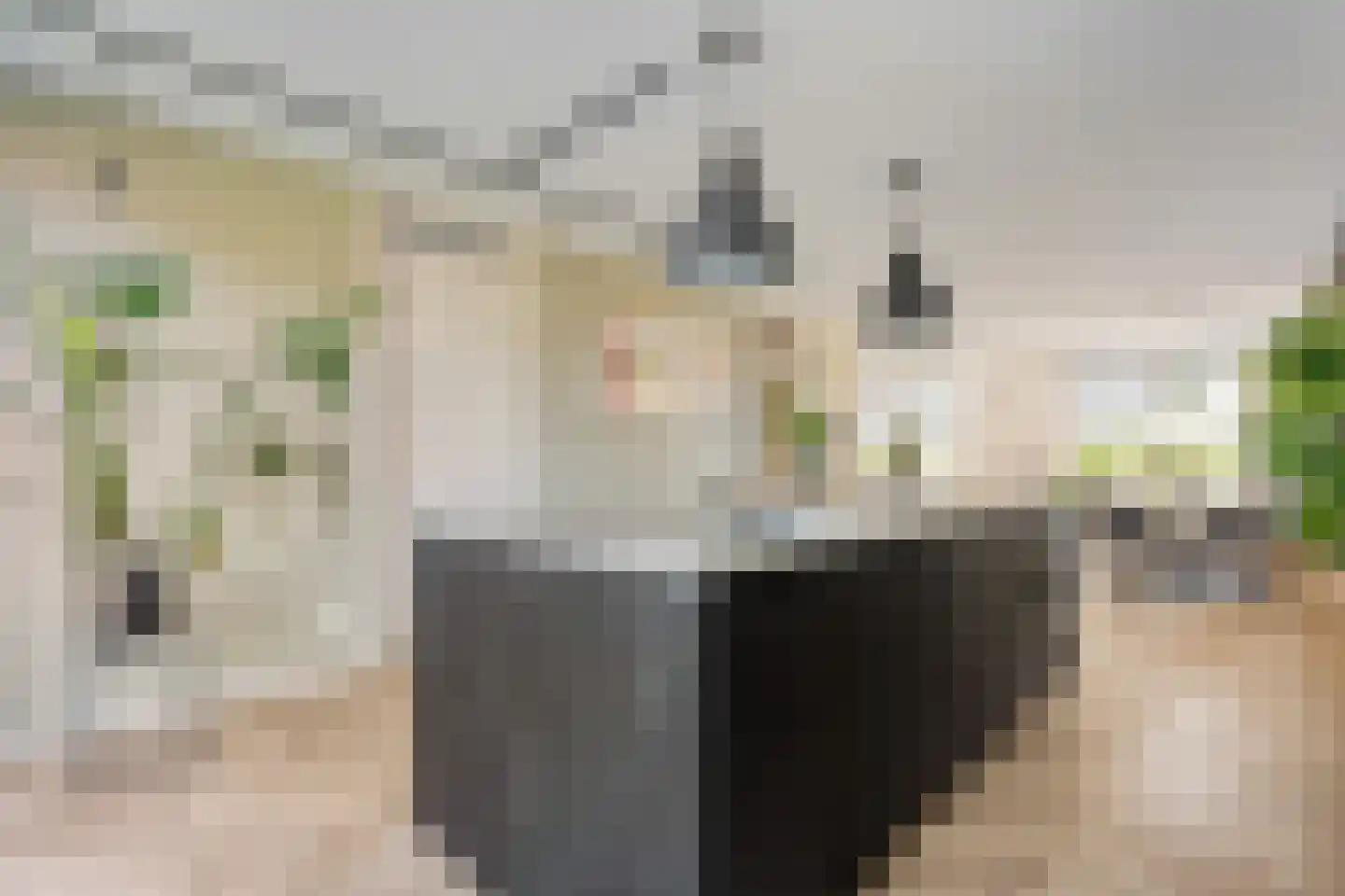 Linden Erven 1 Uffelte thumbnail 22