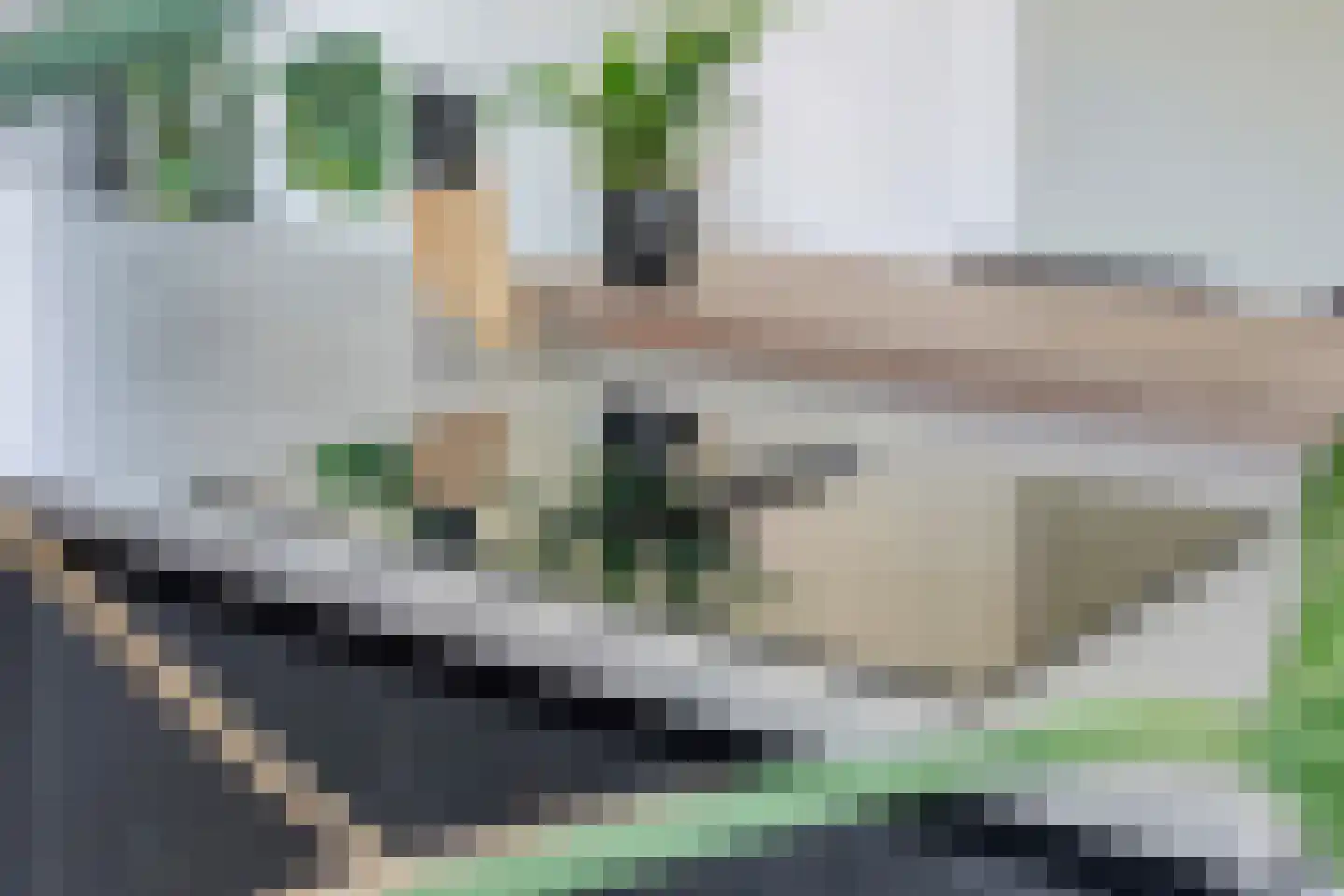 Linden Erven 1 Uffelte thumbnail 23