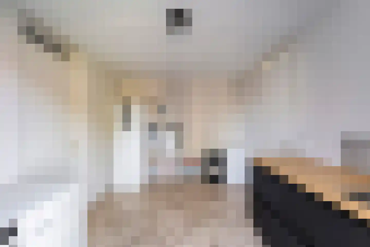 Linden Erven 1 Uffelte thumbnail 25