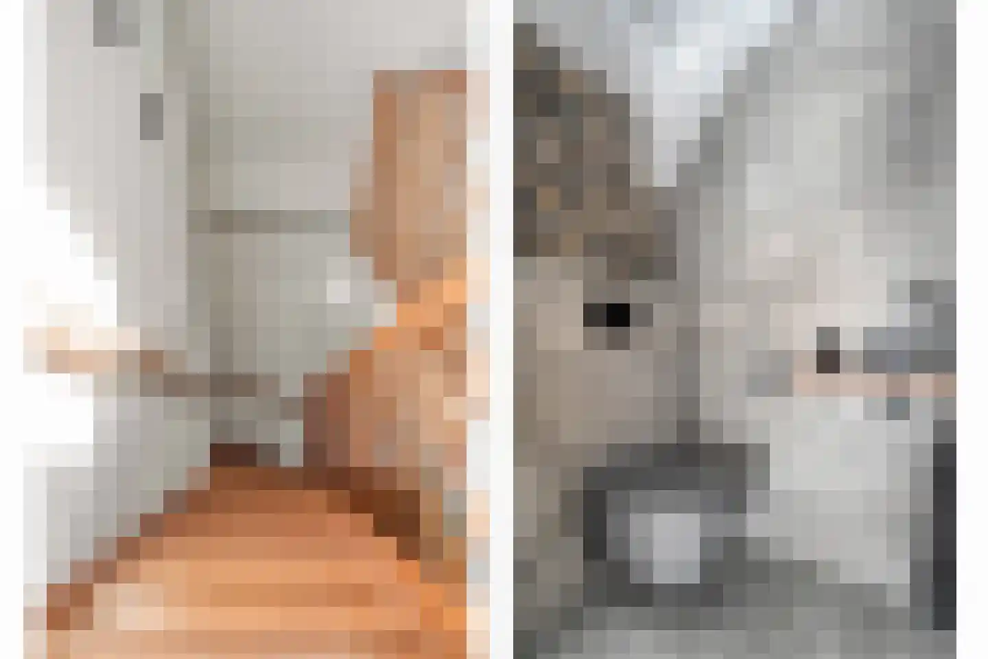 Linden Erven 1 Uffelte thumbnail 32