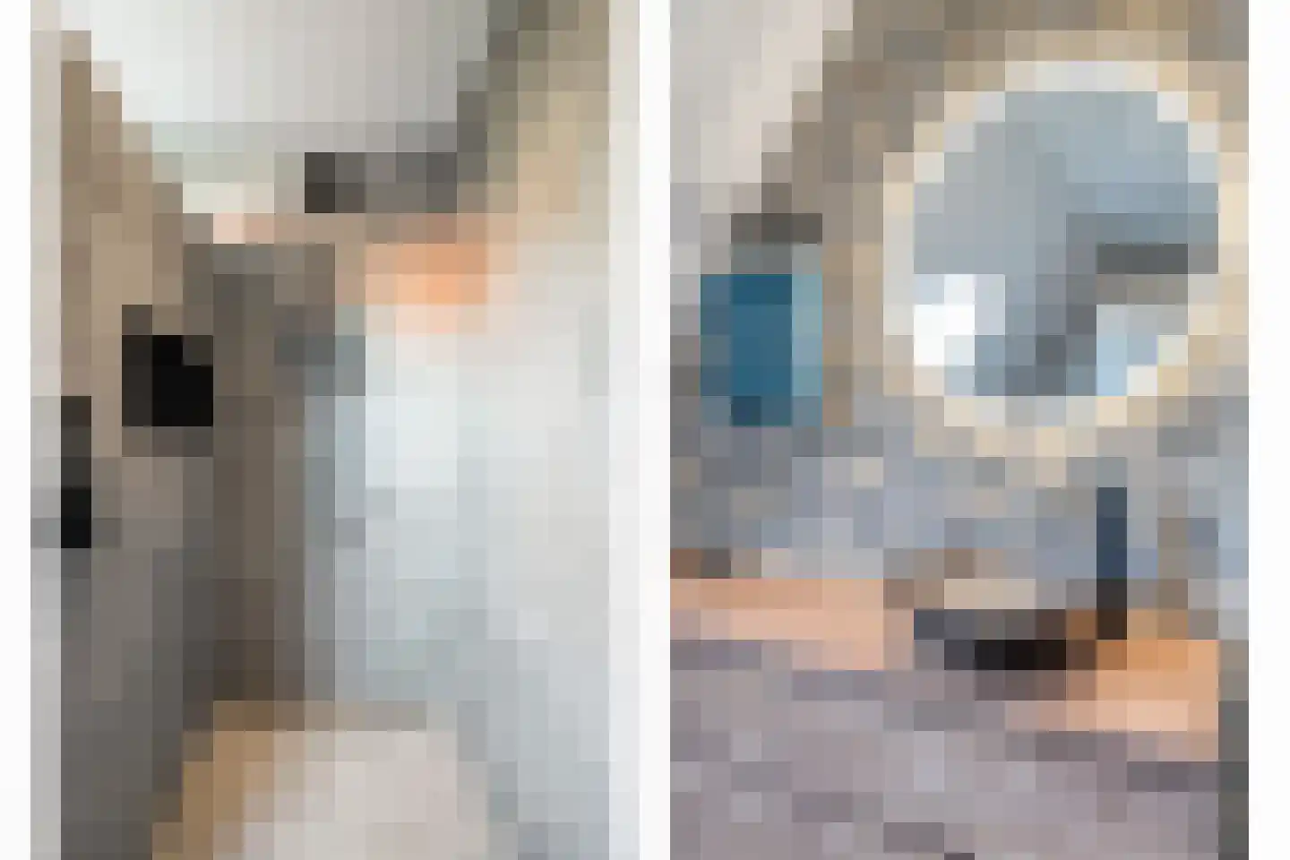 Linden Erven 1 Uffelte thumbnail 37