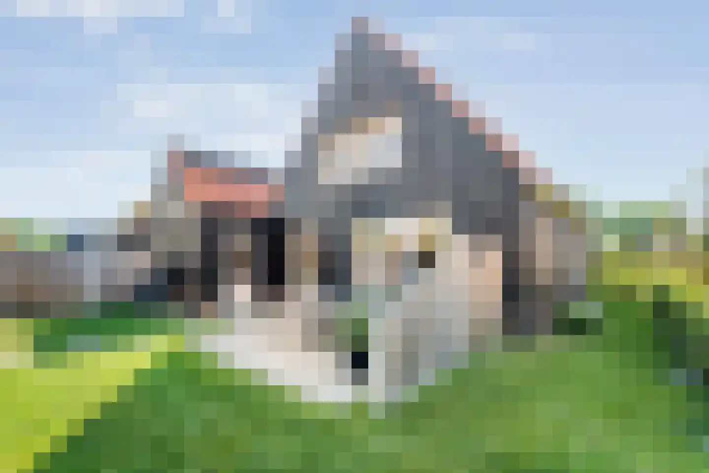 Linden Erven 1 Uffelte thumbnail 45