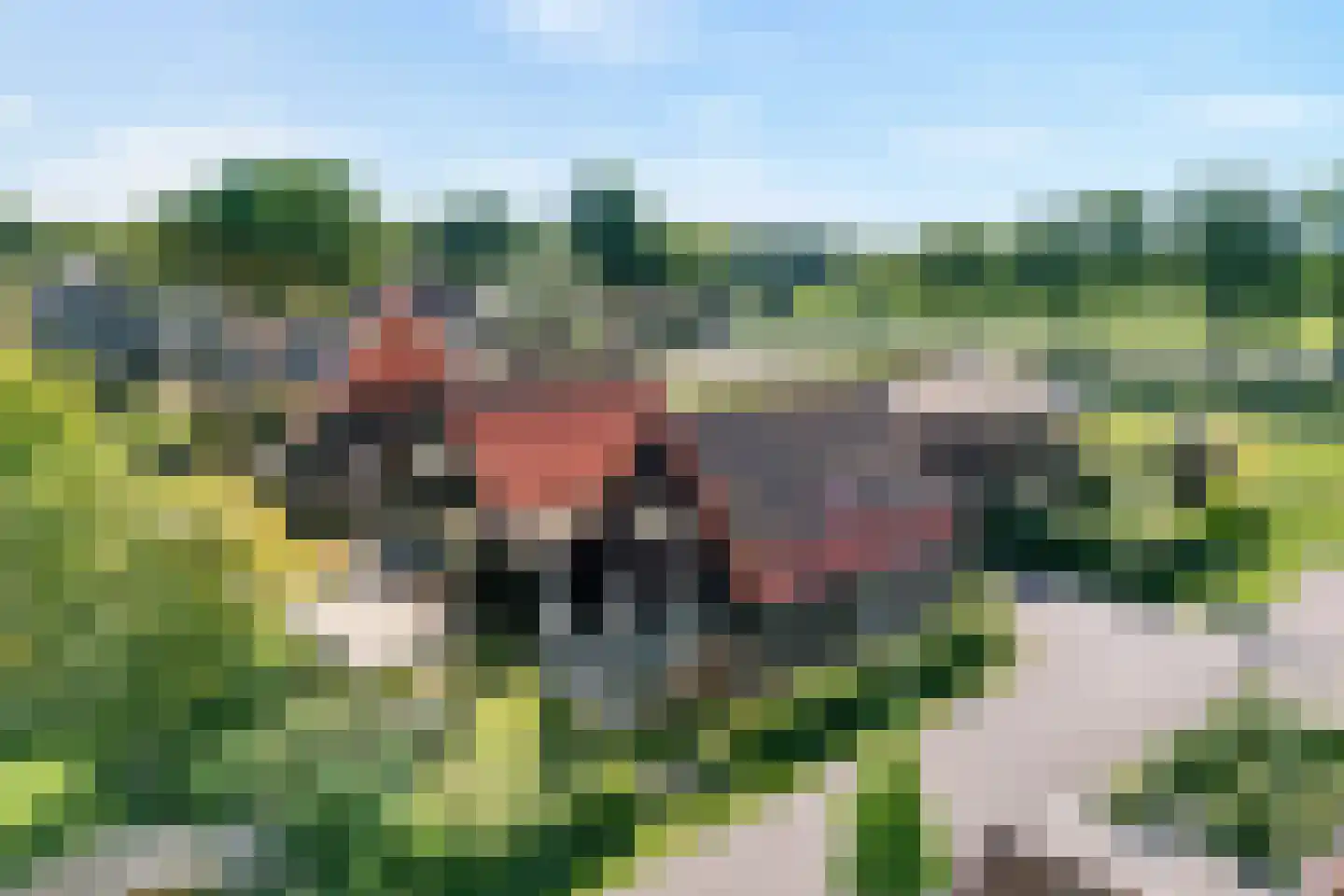 Linden Erven 1 Uffelte thumbnail 9