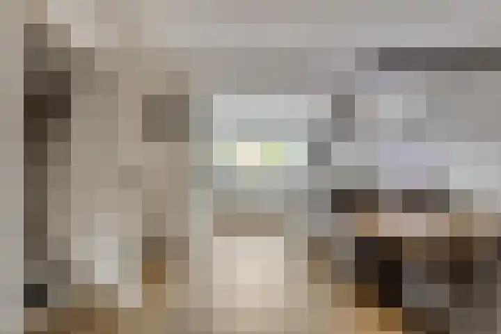 Lindenberghstraat 17 Wilhelminadorp thumbnail 6