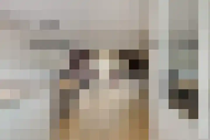 Lindenberghstraat 17 Wilhelminadorp thumbnail 9