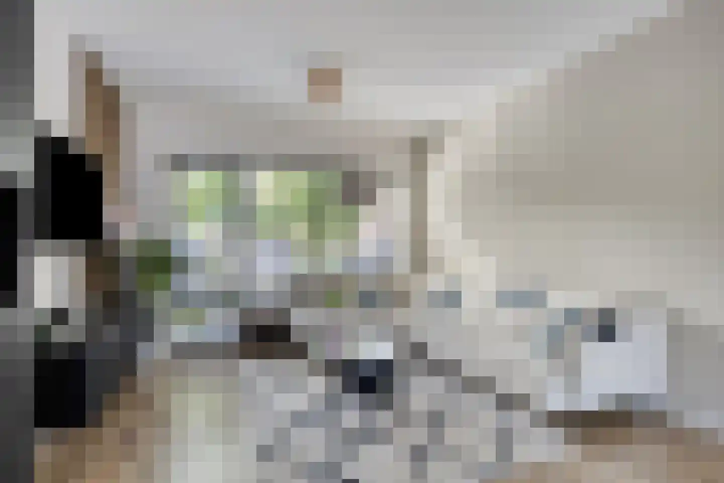 Lindenbleek 28 Etten-Leur thumbnail 11
