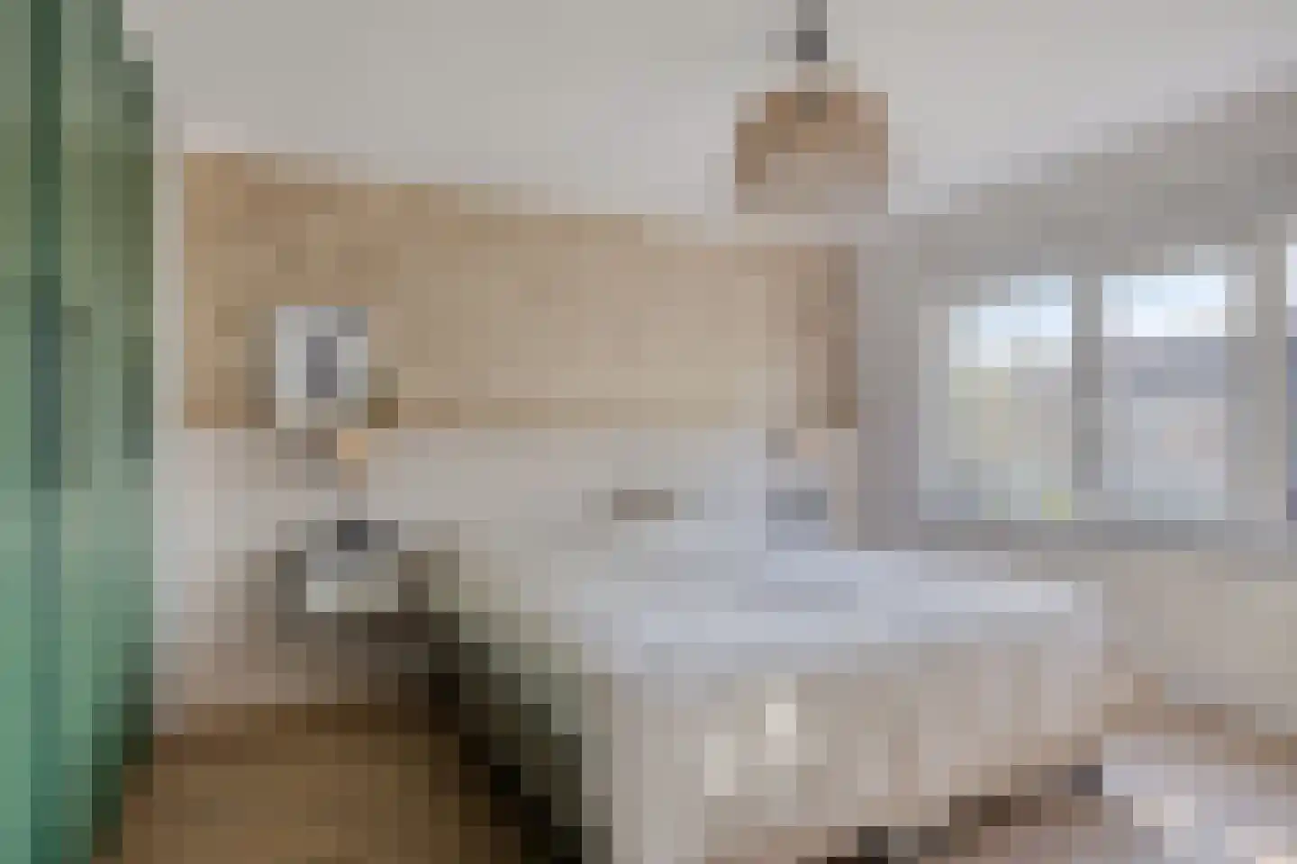 Lindenbleek 28 Etten-Leur thumbnail 28