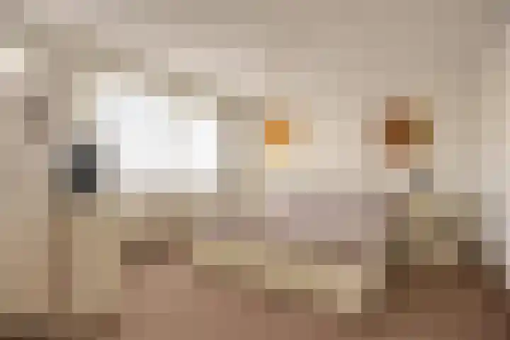 Lindenburg 24 Roosendaal thumbnail 18