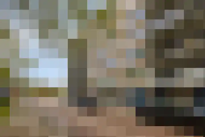 Lindenburg 24 Roosendaal thumbnail 25