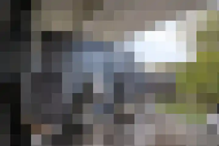Lindenburg 24 Roosendaal thumbnail 4