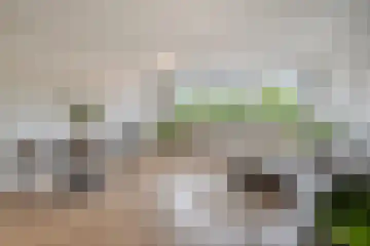 Lindenburg 27 Roosendaal thumbnail 16