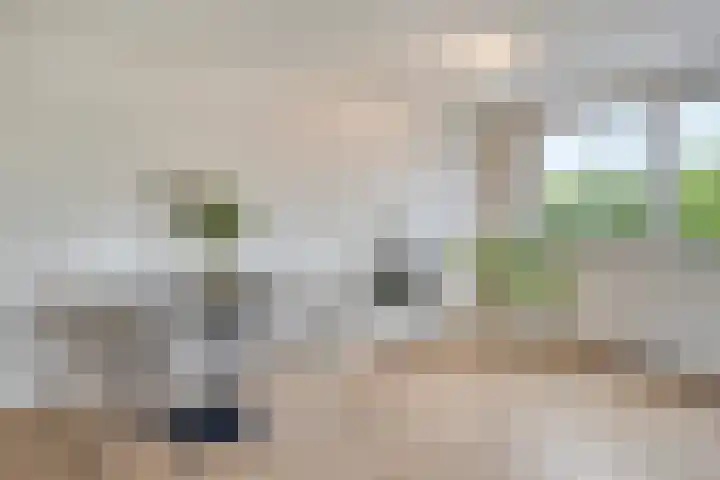 Lindenburg 27 Roosendaal thumbnail 18