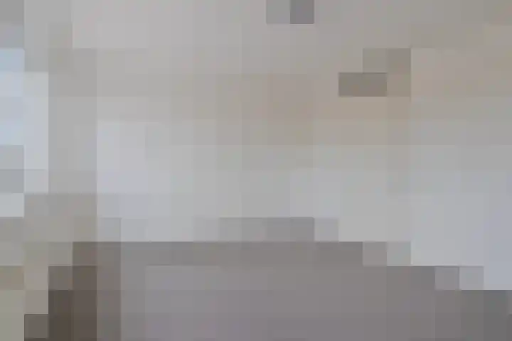Lindenburg 33 Roosendaal thumbnail 21