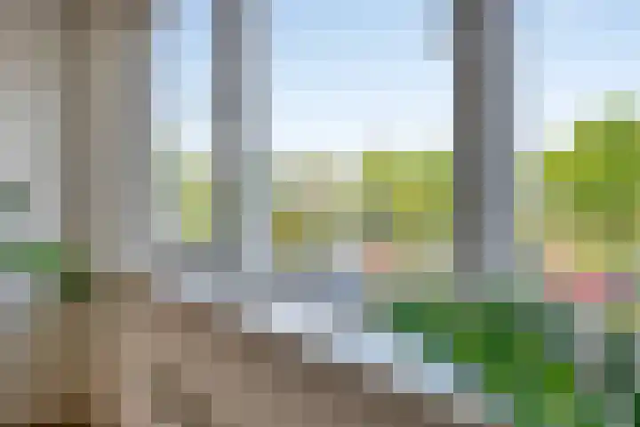Lindenburg 39 Roosendaal thumbnail 14