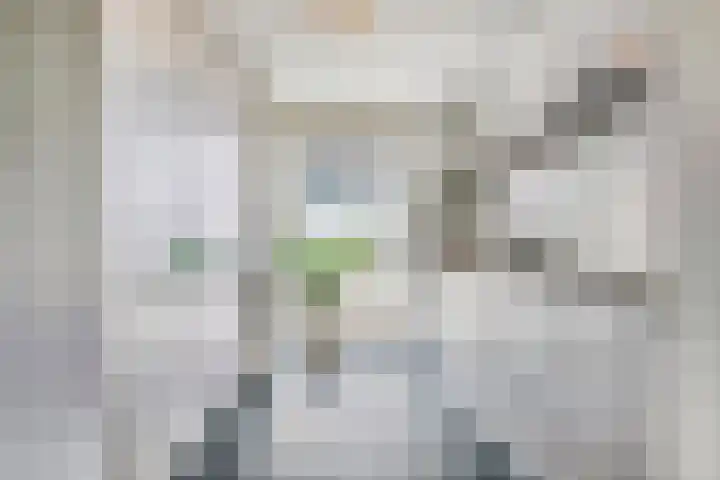 Lindenburg 39 Roosendaal thumbnail 18