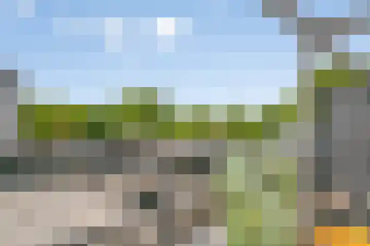 Lindenburg 39 Roosendaal thumbnail 39
