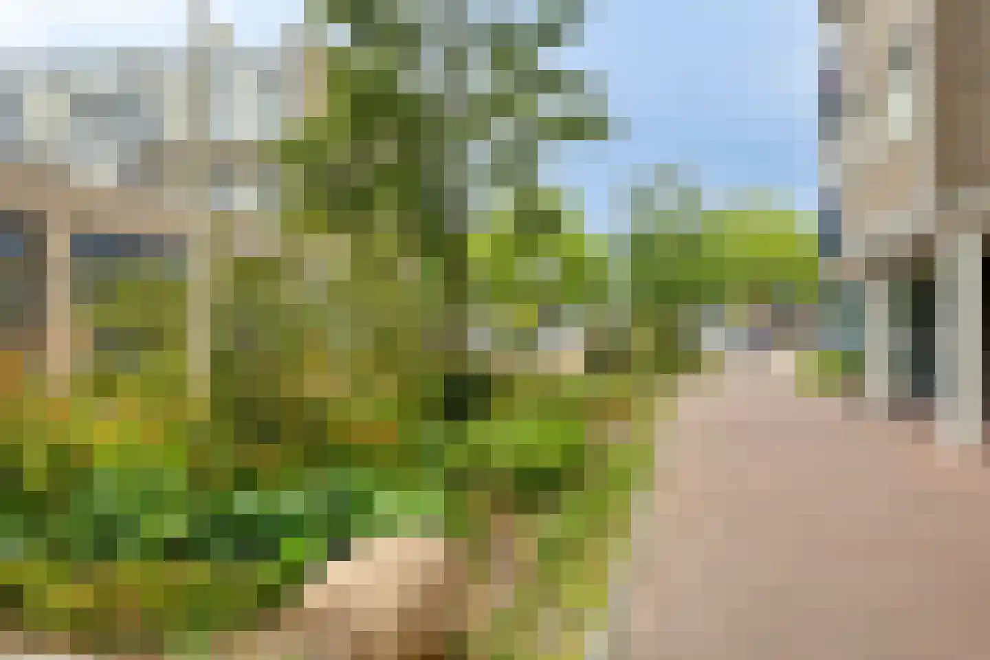 Lindenburg 43 Roosendaal thumbnail 23