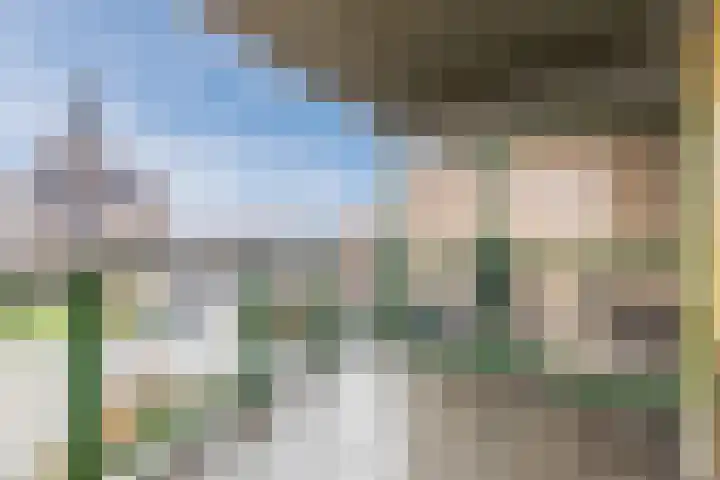 Lindenburghlaan 30 Steenbergen thumbnail 26