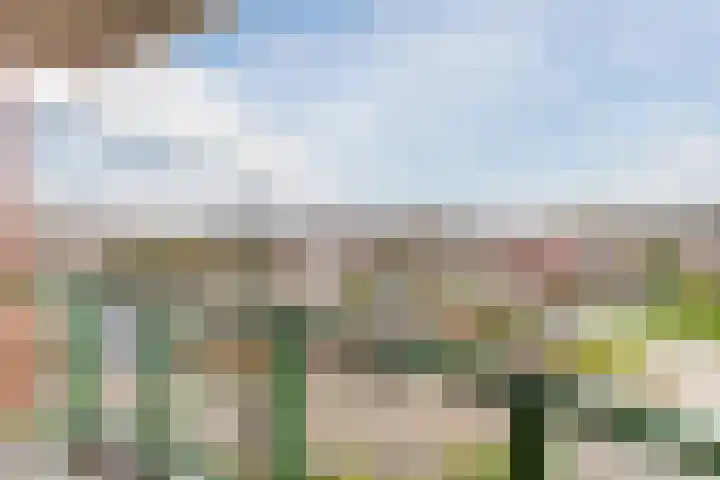 Lindenburghlaan 30 Steenbergen thumbnail 29