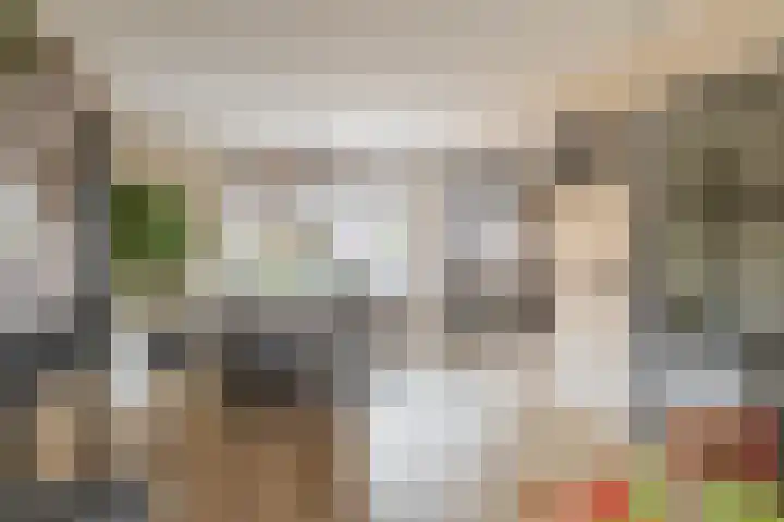 Lindendaal 21 Gouderak thumbnail 12
