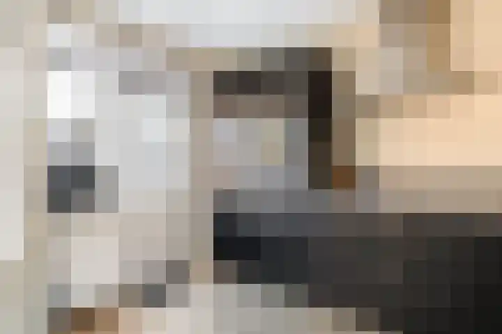 Lindendaal 21 Gouderak thumbnail 18