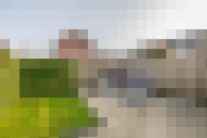 Lindendaal 21 Gouderak thumbnail 22
