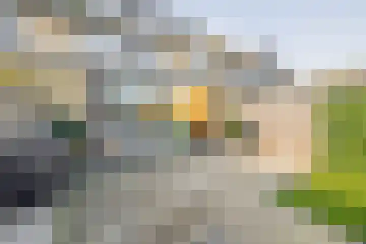 Lindendaal 21 Gouderak thumbnail 24