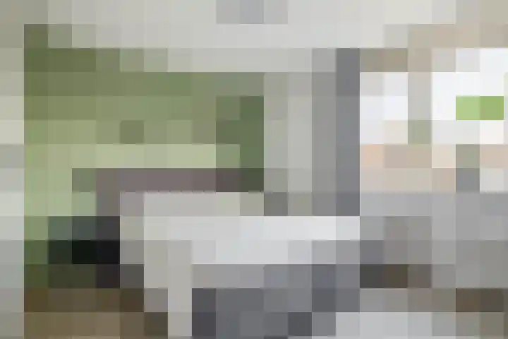 Lindendaal 21 Gouderak thumbnail 28