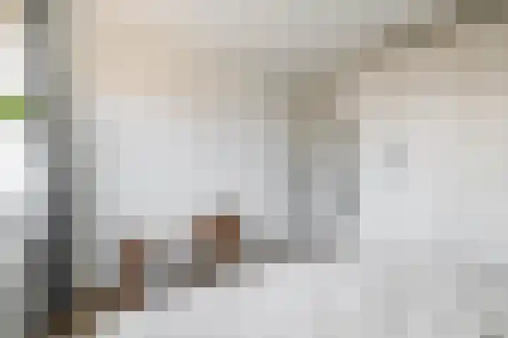 Lindendaal 21 Gouderak thumbnail 29