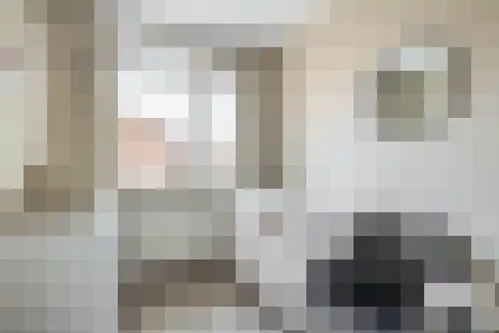 Lindendaal 21 Gouderak thumbnail 33