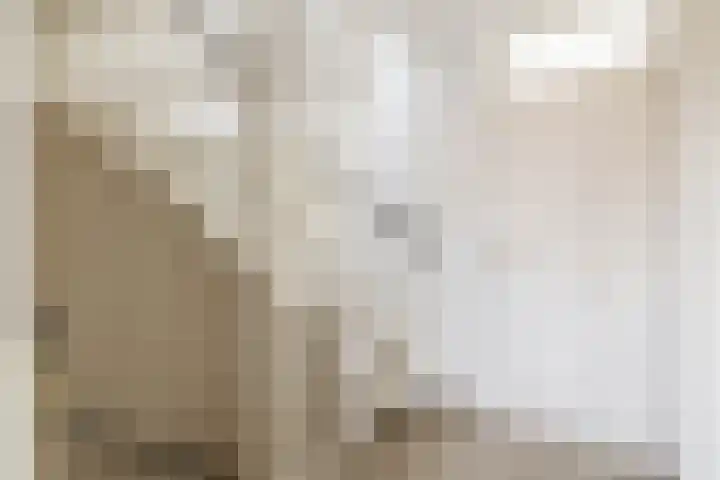Lindendaal 21 Gouderak thumbnail 34