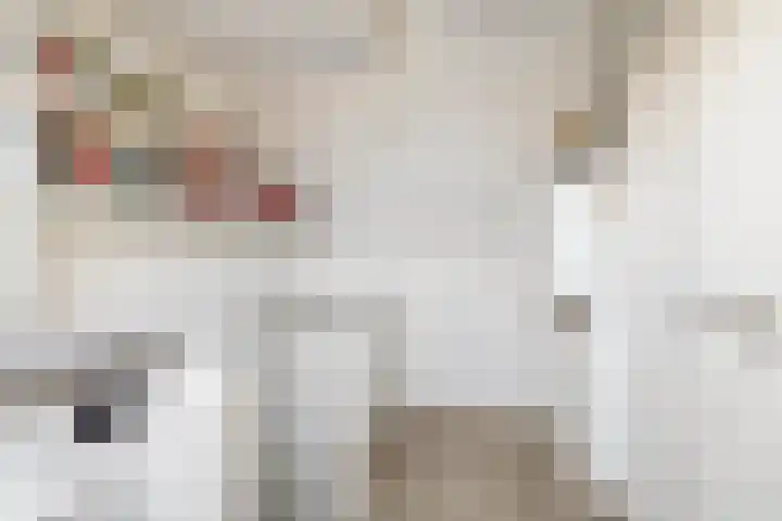 Lindendaal 21 Gouderak thumbnail 36