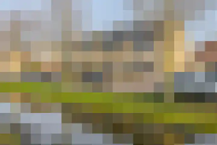 Lindendaal 21 Gouderak thumbnail 41