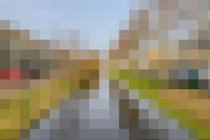Lindendaal 21 Gouderak thumbnail 43