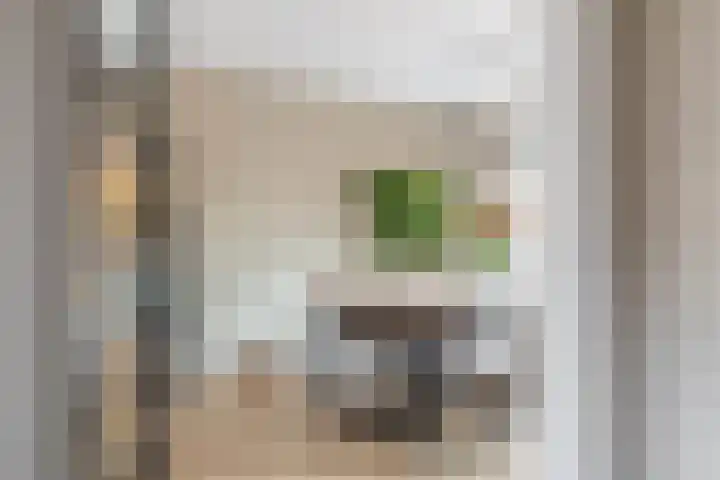 Lindendaal 21 Gouderak thumbnail 7