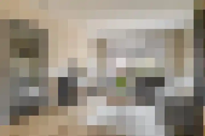 Lindendaal 21 Gouderak thumbnail 8