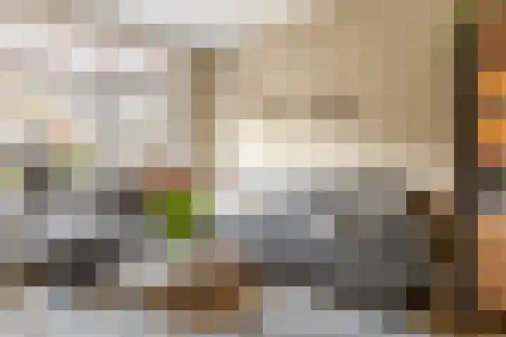 Lindendaal 21 Gouderak thumbnail 9