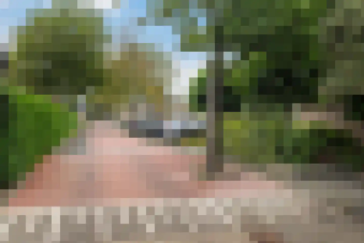 Lindendreef 1 Vlaardingen thumbnail 11