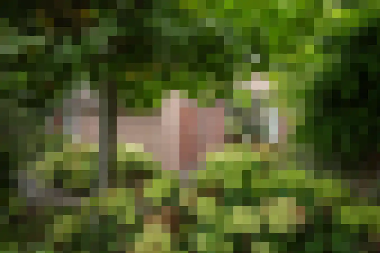 Lindendreef 1 Vlaardingen thumbnail 15