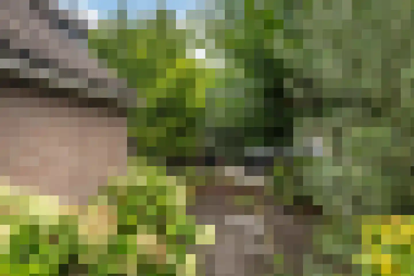 Lindendreef 1 Vlaardingen thumbnail 16
